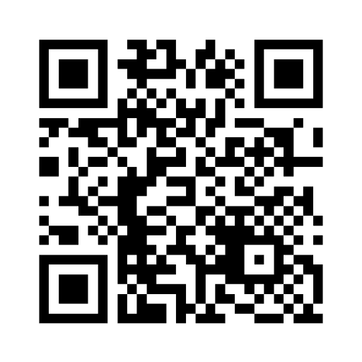 An animated QR code. The pattern changes several times a second, and every few seconds the whole code shifts to a slightly finer grid as the display moves to the next stream.